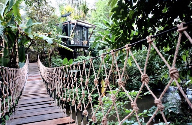 Jungle Glass Box Waterfall View