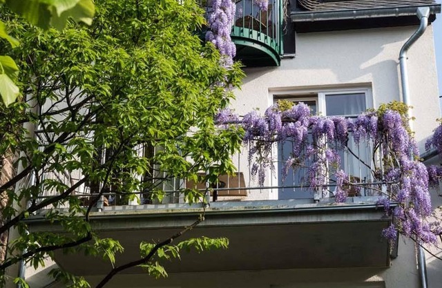 Junior Suite Weinbergblick - Ferienresidenz Brauneberger Hof