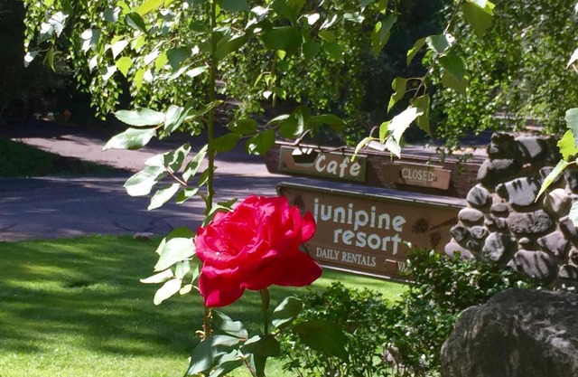 Junipine Resort