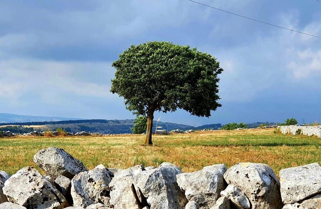 L'aria ro munti
