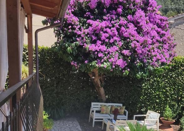 La Bouganville e Il Gelsomino