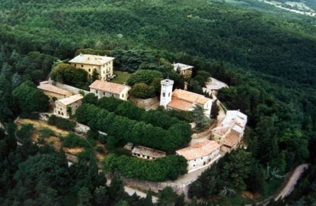 La Canonica - fields