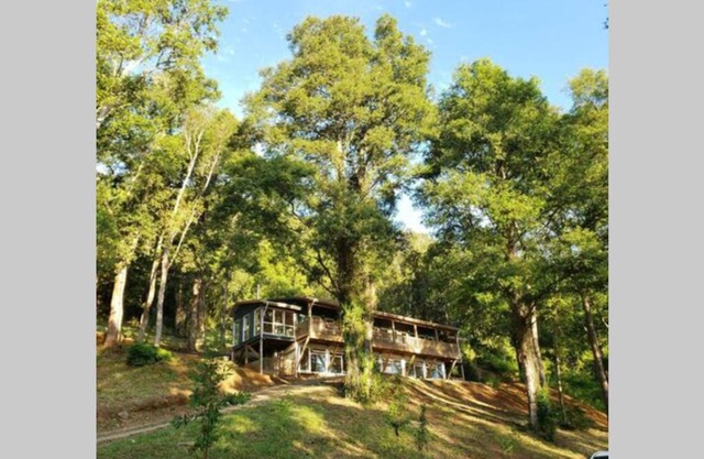 LA CASA EN EL BOSQUE con vista al Río