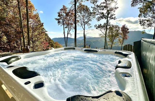 La Maison: Black Mt. Ultra Luxury 6 BR Ensuites in Catawba Falls Preserve