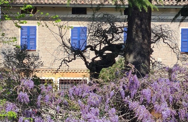 La Maison Deux, an old farmhouse from the late 18th century, with Provençal features.