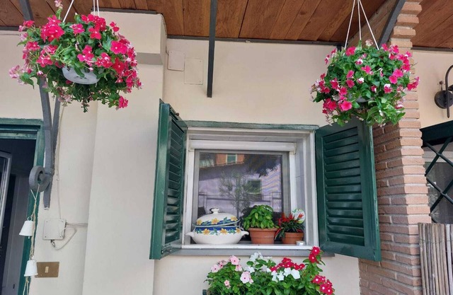 La Pigna. An oasis of peace in the center of the nightlife.