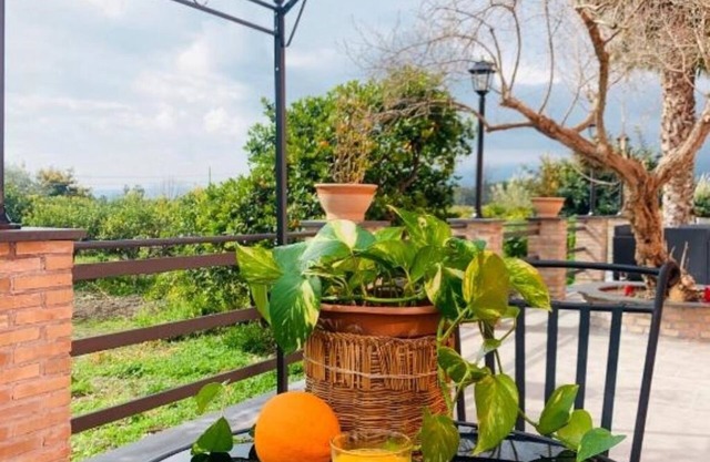 La Pomelia B&b Sofia - 1