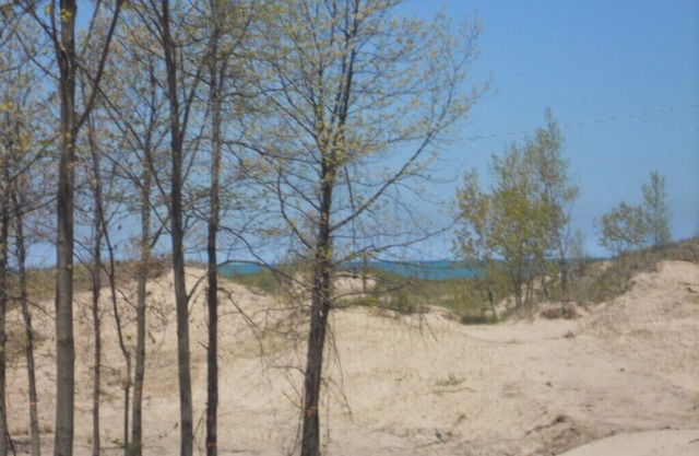 -Lake View Home overlooking Lake Michigan and Washington Park