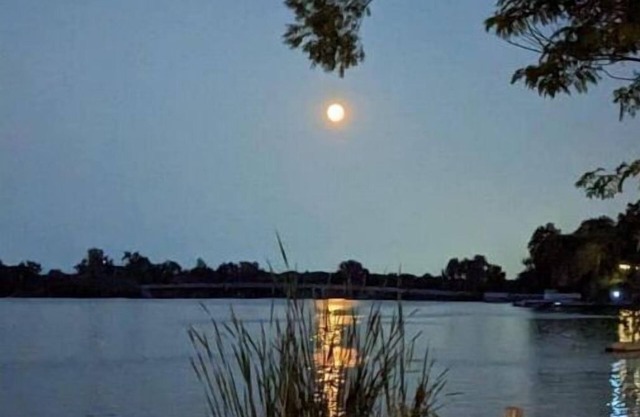 Lakefront Comfy 1BR Cabin @ The Lake-Heim by Chain-O-Lakes