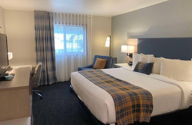 Lakeside Relaxation: Modern Rooms & Amenities