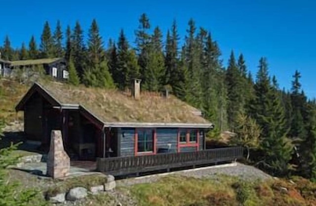 Large cabin at Sjusjøen with sauna, fireplace, view and cross-country skiing