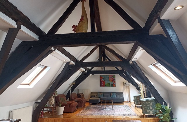 Large Charming Duplex Brussels Historical Center