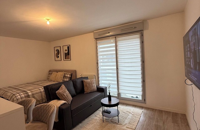 Large studio ideal for business trips