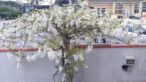 Le Bagnanti Di Miro'