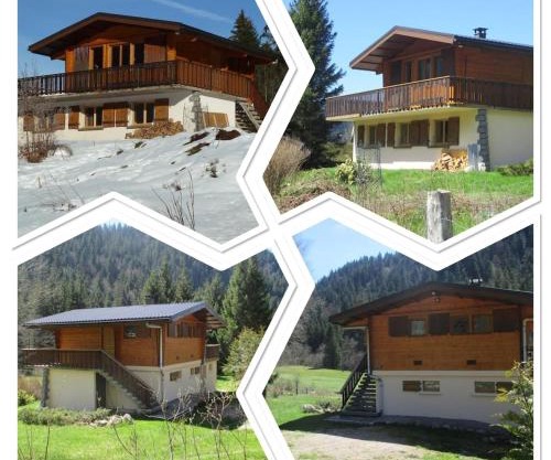 Le chalet des Skieurs Vosges