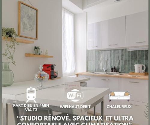 Le Dauphiné studio climatisé