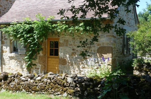 Le Hameau du Quercy - Water flowers