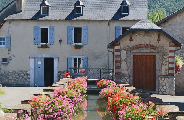 Le Moulin d'Arudy *: historic house on the canal and its washhouses