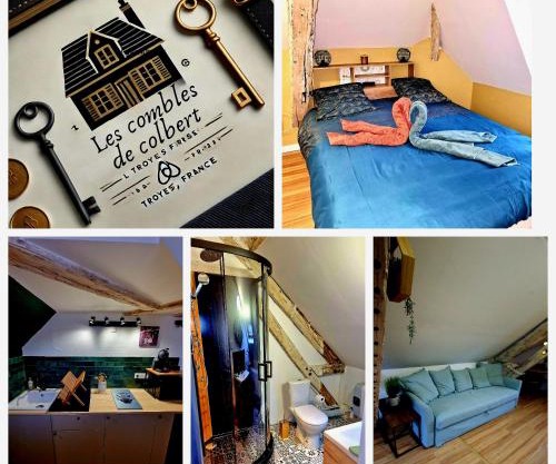 Les Combles de Colbert- hyper center