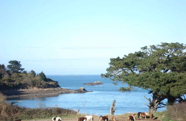 lezardrieux appart. 4/5 people seaside + garden