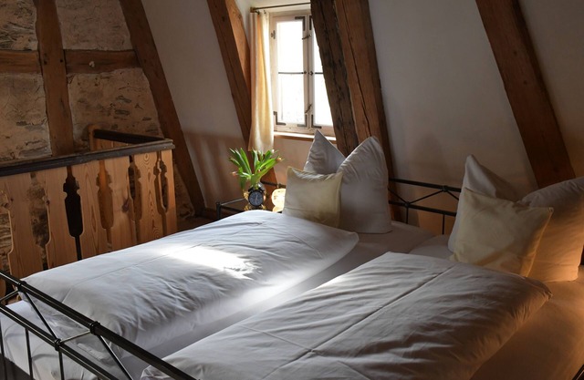 Lichtblick apartment near Bad Windsheim, fireplace, garden, barbecue, panorama screen, massage