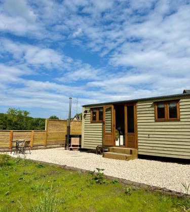 Lintmill Lodges - Thistle Shepherds Hut