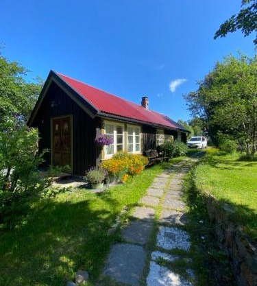 Lite hus i hagen
