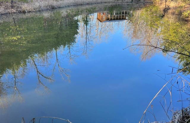 Little Bear Cabin @ RRG-Dog Friendly-Hot Tub & Pond!