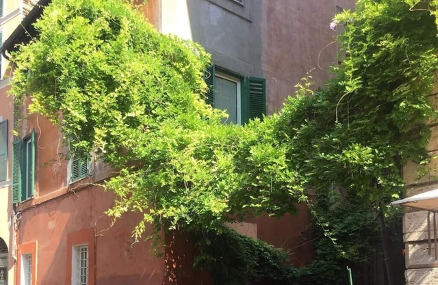 LivinginRome | Trastevere - vicolo Del Piede