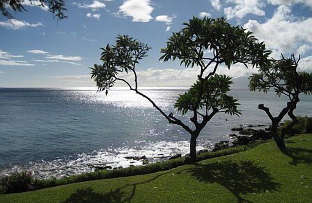 Located Directly on the Oceanfront with Spectacular Views