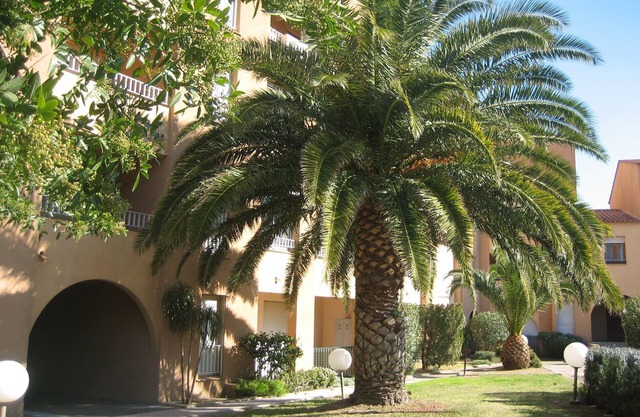 Location été L'ile-rousse