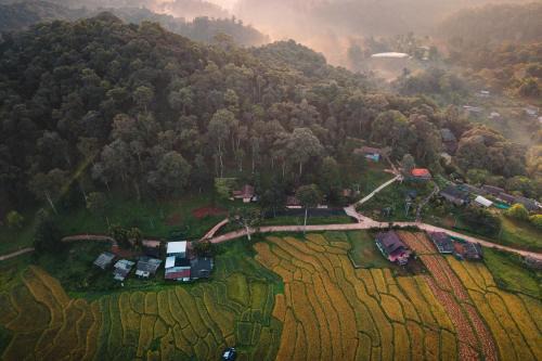Lochi Chiangmai โลชิ เชียงใหม่