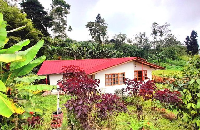 LODGE NATAN
