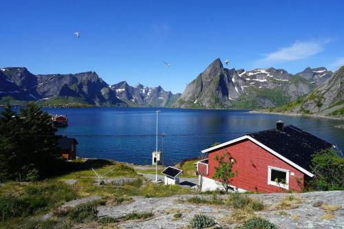 Lofoten panoramic luxury home with sauna