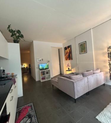 LOFT by Messe Basel with a Garden and 24h Service