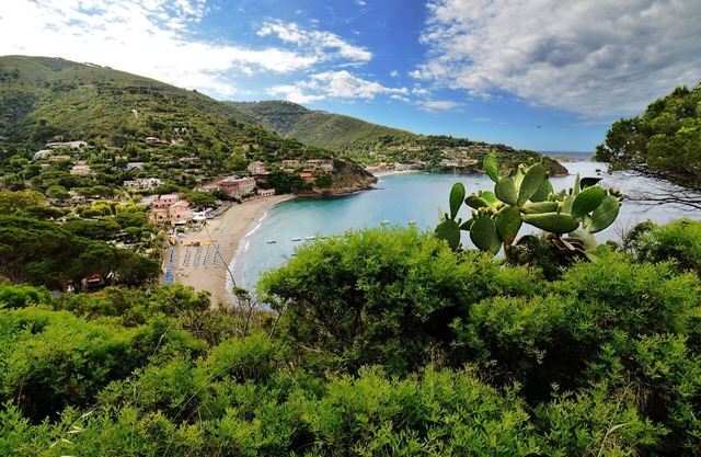 Lovely apartment for 2 guests with WIFI, terrace, pets allowed and parking