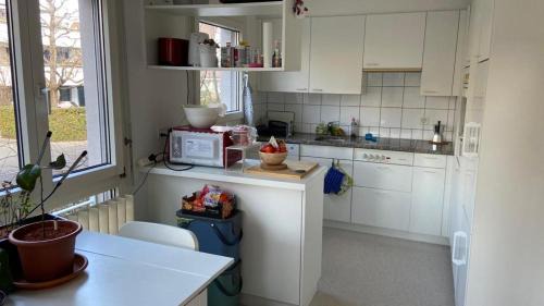 Lovely calm flat in 10min in Basel