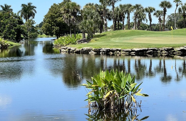 Luxe modern Villa with amazing views of nature, lake & golf course!