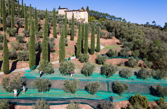 Luxury 6-bed Tuscan villa near Lucca and Florence w/saltwater pool