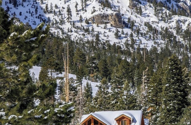 Luxury Cabin on Mount Charleston