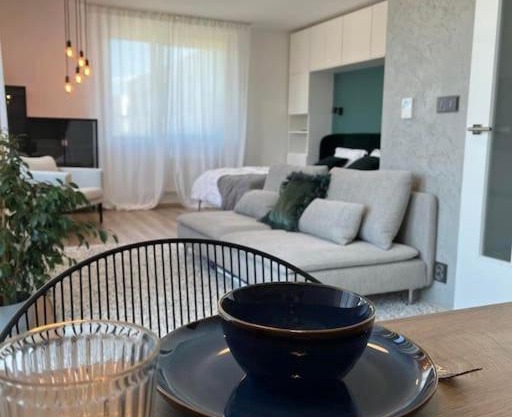 Luxury Flat in Brno GreeN SoHo