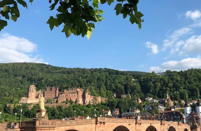 Luxury Holiday Apartment in the Old Town of Heidelberg