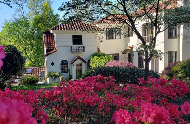 Luxury Suite near University of Tennessee campus, pet friendly