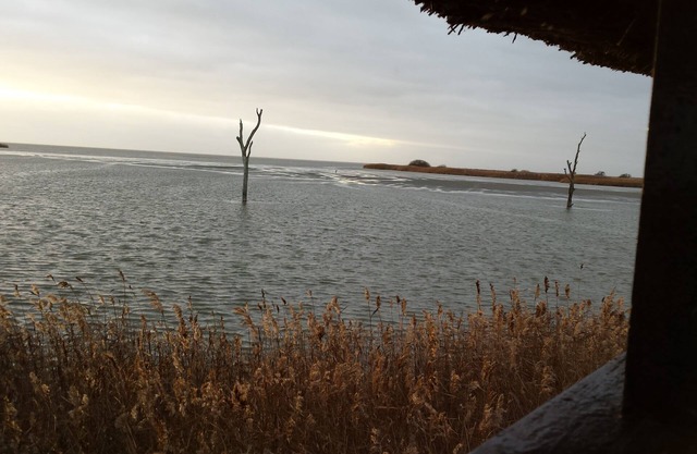 Luxury Villa Lisdodde on the water, 130m², 6 pers., Dogs OK, 3 cars, berth 20m.