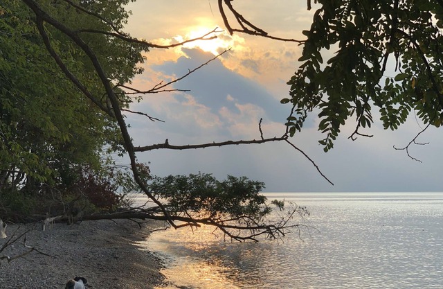 LUXURY WATERFRONT HOME w/PRIVATE BEACH w/BBQ PATIO