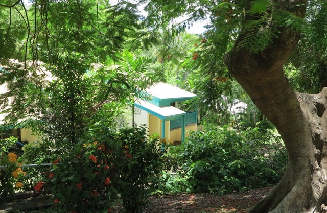 Magnetic Reef 3 - Relaxing tropical getaway with lush gardens and complex pool, minutes to Alma Bay