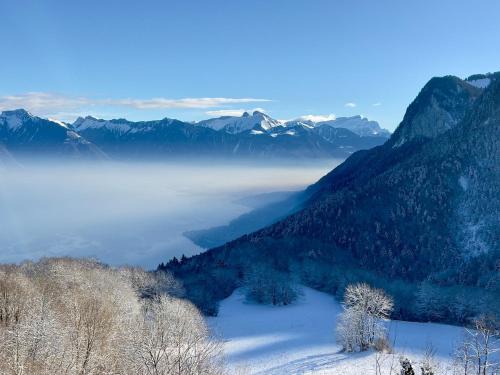Magnifique Chalet Panorama ALPENGRUSS