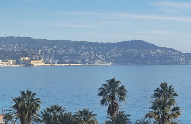 Magnifique vue mer et Montagne
