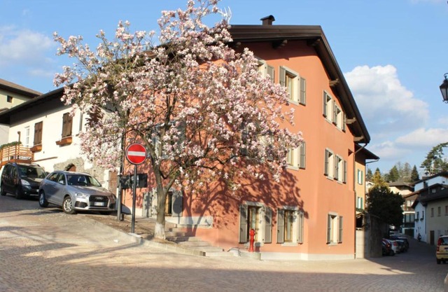 Magnolia Levico