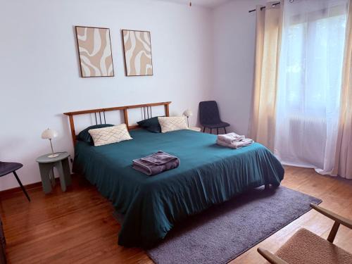 Maison familiale , piscine - Jardin - Toulouse